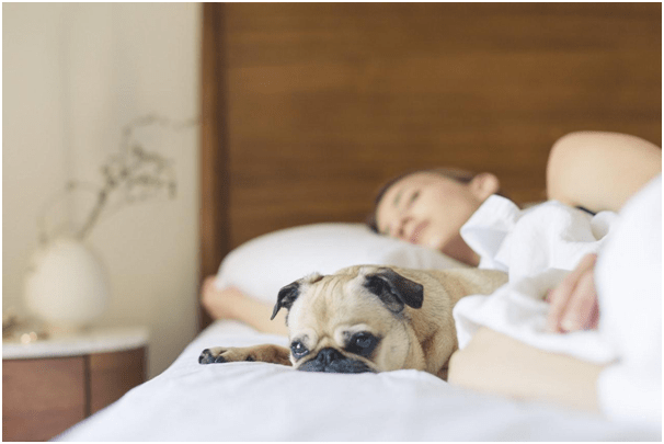 Noite mal dormida e as consequências