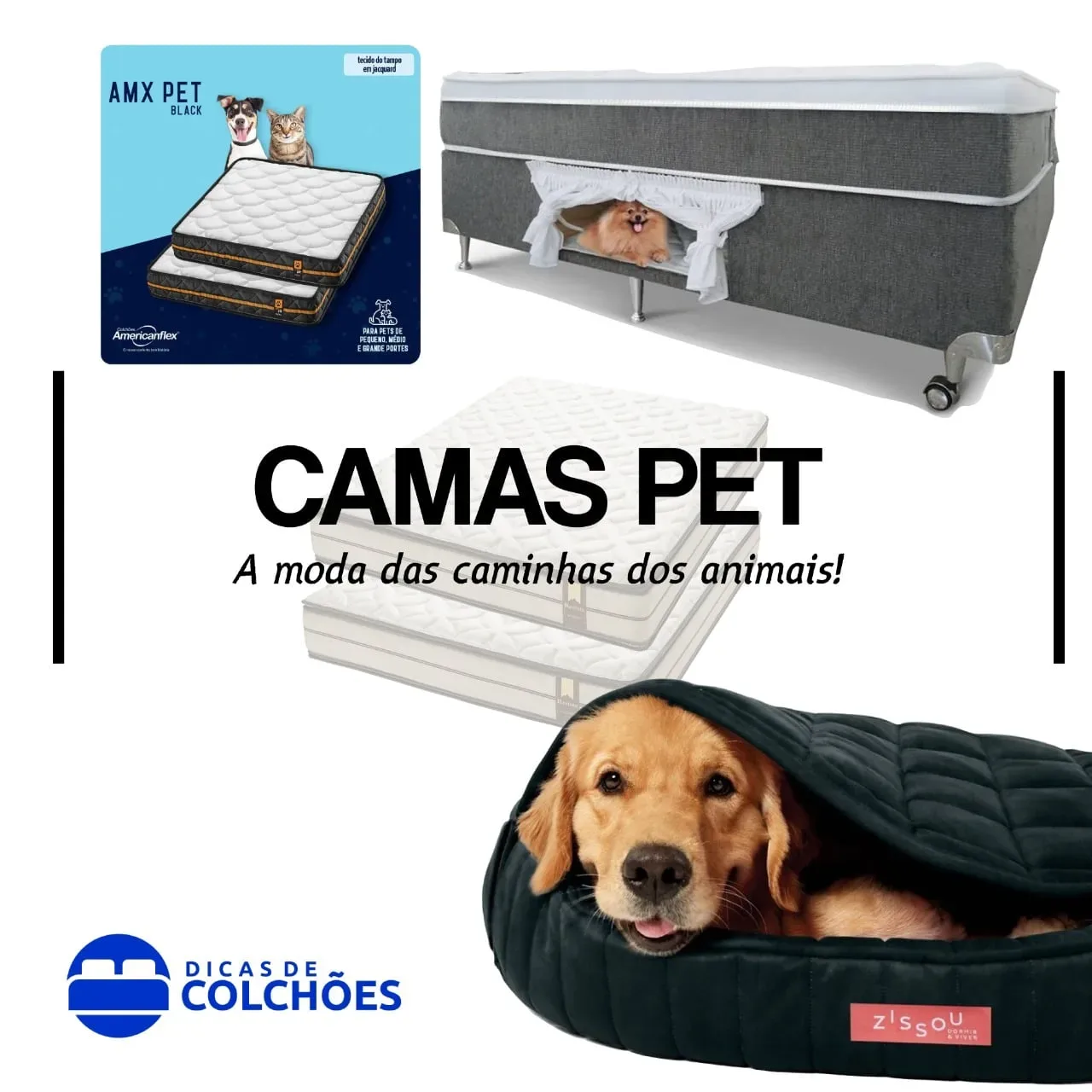 Camas pet: A moda das caminhas dos animais!