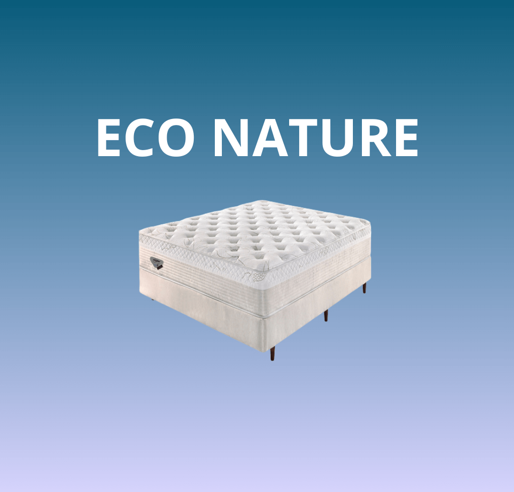 eco nature ecoflex curitiba