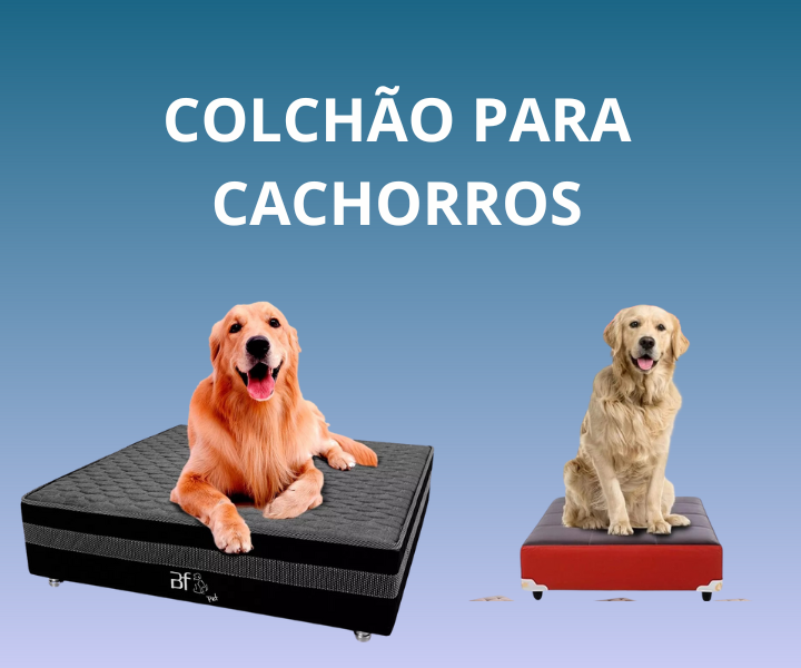 Colchão para cachorros