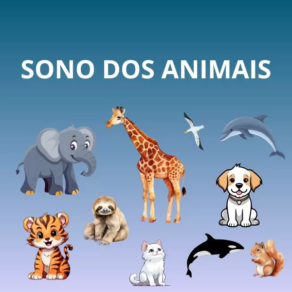 O sono dos animais