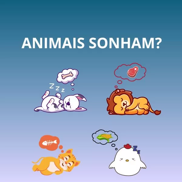 Animais Sonham? Descubra a Ciência por Trás do Sono Animal